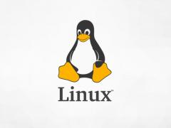 Linux Kernel 5.7׸ RC 汾
