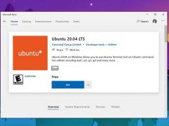 Ubuntu 20.04 LTSѿͨWin10Ӧ̵ȡ