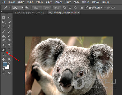 Adobe Photoshop cc2015ƽ