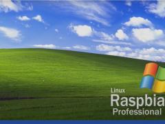 ݮɻ Linux  Windows XP ѿ