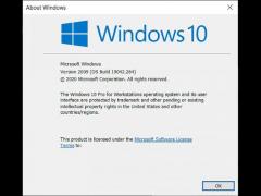 Windows 10 20H2_2009¹