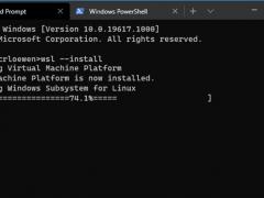 Win10¿ʼ֧ WSL 2 ֧ܿ GPU  Linux GUI