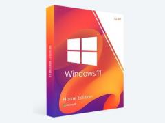 ΢֤ Windows 11 1239 Ԫ
