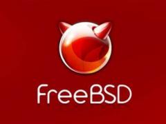 FreeBSD 11.4 ʽ