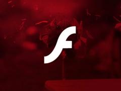 Adobe ж Flash Playerںʹ Flash