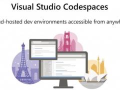 ΢ Visual Studio Codespaces ֹ֧ͣ