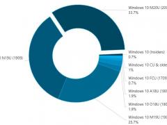 ΢ Windows 10 2004гݶﵽ33.7%