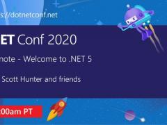 ΢ .NET 5.0 ʽ ǿ֧ Surface Pro X ARM64