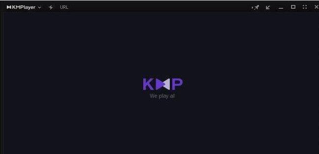KMPlayer  v4.2.2.52 Ѱ