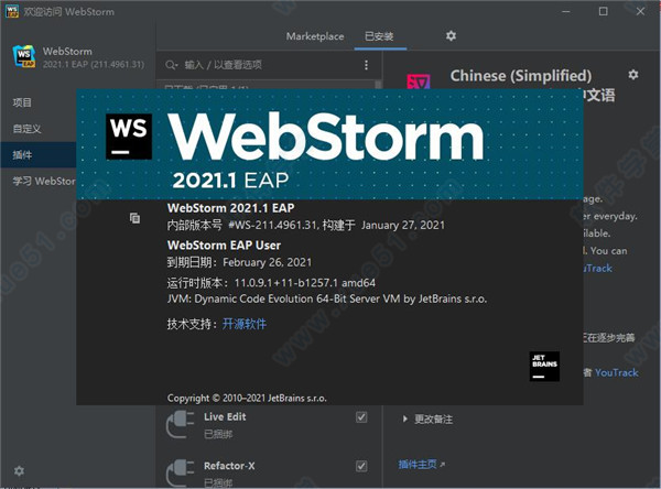 Webstorm 2021.1.1İ