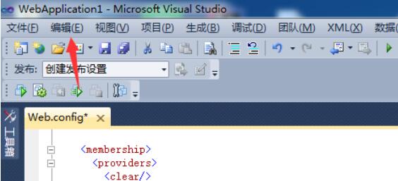 Visual Studio 2005(VS2005)鿴հ׵ķ