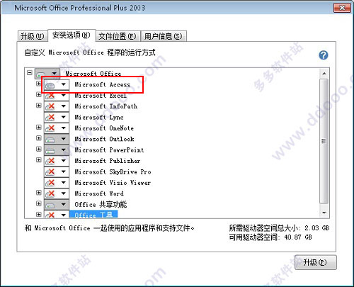 Microsoft Access 2003 