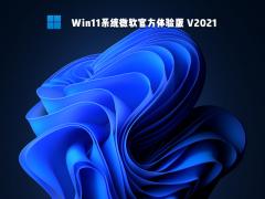 微软官方 Win11体验版 64位系统下载 V2021
