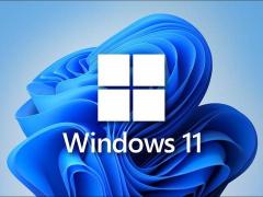 Windows11怎么免费升级？免费升级Win11的方法