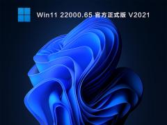微软最新 Win11 22000.65 iso镜像_Win11正式版下载