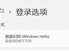 Win11更新22000.100后Windows Hello不可用的解决方法