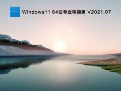 最新Win11系统下载_Win11精简版V22000.65下载
