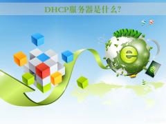 DHCP ʲôãWin11ϵͳӵ DHCP 