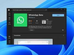 Win11/10 系统如何安装新的 WhatsApp UWP 应用