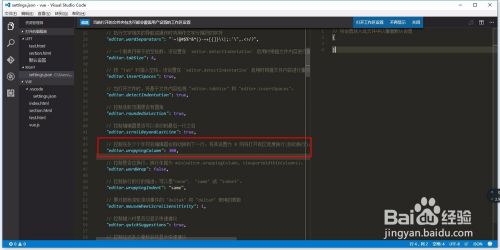 Visual Studio CodeԶеļ