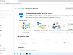 ChromiumWin10 EdgeѰй¶
