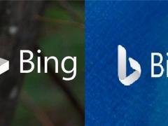 ΢ Bing ȫͼ