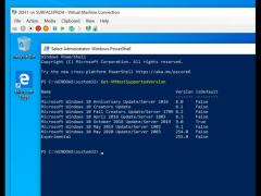 Windows 10¸汾ƿܽMay 2020