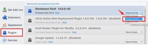 win10ϵͳAdobe Flash Player