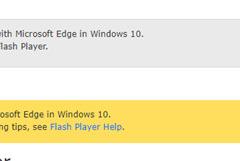 win10ϵͳAdobe Flash Player