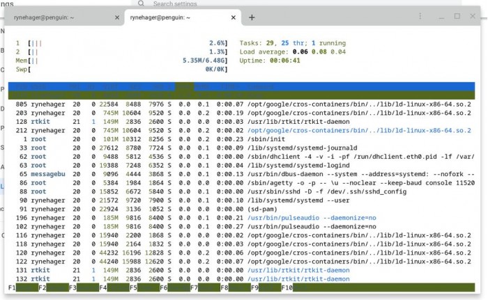 Chrome OS 83ŻLinuxն