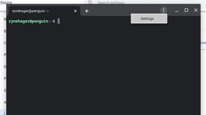 Chrome OS 83ŻLinuxն