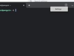 Chrome OS 83ŻLinuxն飺Զѡ