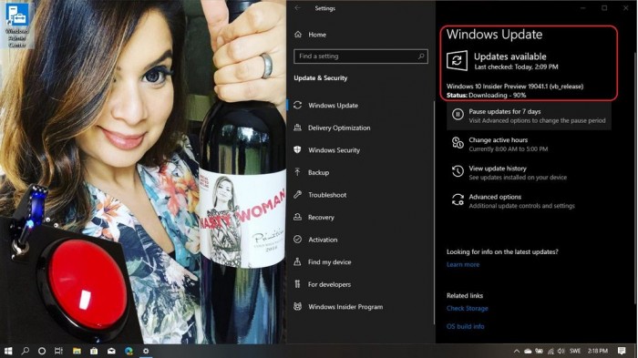 ΢Windows 10 2004 insider񿪷