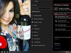 ΢Windows 10 2004 insider񿪷