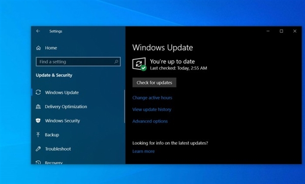 ΢ԭWin10רҵϵͳ_32λ V1903 iso