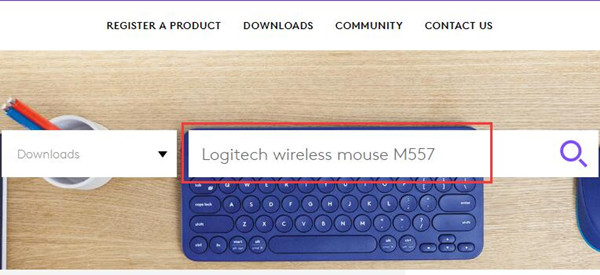Win10,8,7ϵͳLogitechļ