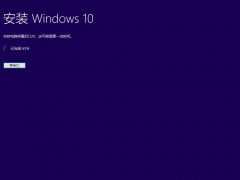 ΢ԭWin10ҵϵͳ_64λ V1903 iso