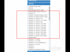 MsdnҸ_Win10 2004 isoذװ̳