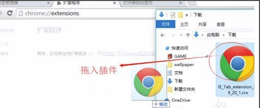 ȸ(Google Chrome) v81.0.4044.113ɫ
