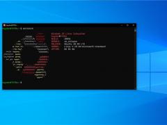 Ubuntu 20.04 LTS ϼ ΢ Win10 Ӧ̵