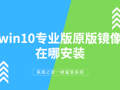Win10רҵԭ澵밲װ̳