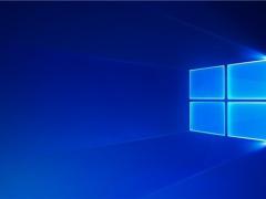 ΢ Win10 Ԥ 19613.1005 