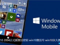2020 Win10 5¸¼Կ Win10 2004