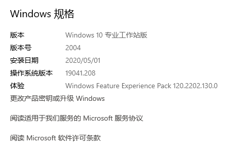 ΢Windows 10 20205¸ʽ_2004
