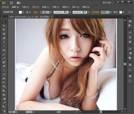 Adobe Illustrator CS6 v16.0.0ɫ