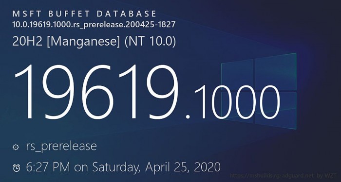 ΢ Win10 Build 19619 iso_2009/20H2