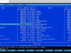 ΢ Win10նģ Windows Terminal 1.0 