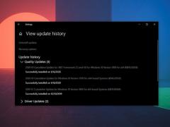 Win10 2004ŻDelivery Optimizationֵ