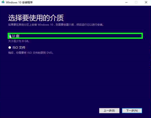 Win10רҵ