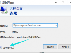 Win10ϵͳԶ̳